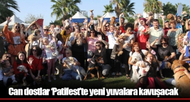 Can dostlar ‘Patifest’te yeni yuvalara kavuşacak