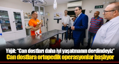 Can dostlara ortopedik operasyonlar başlıyor