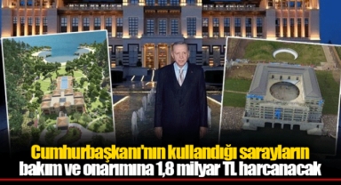 Cumhurbaşkanı'nın kullandığı sarayların bakım ve onarımına 1,8 milyar TL harcanacak