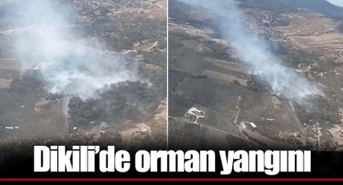Dikili'de orman yangını
