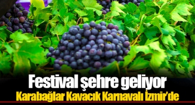 Festival şehre geliyor