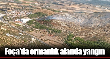 Foça'da ormanlık alanda yangın