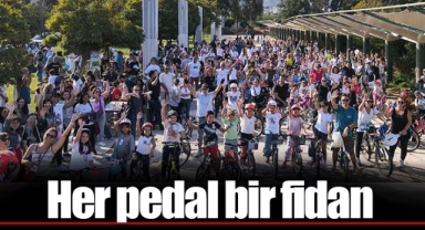 Her pedal bir fidan