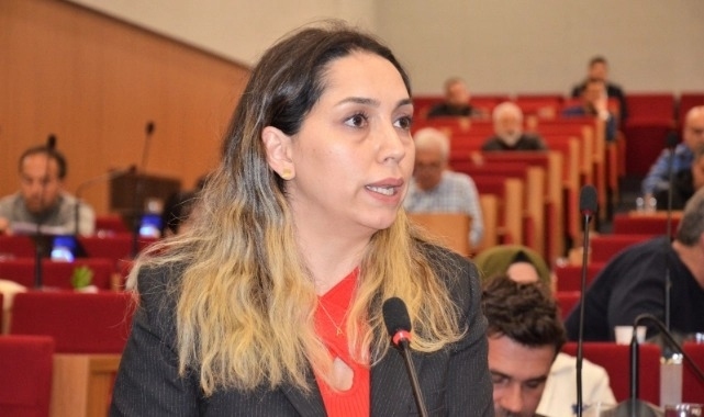 İktidar olduğunu unuttu, muhalefet yapmaya kalktı: AK Parti'li üyeden dolar çıkışı