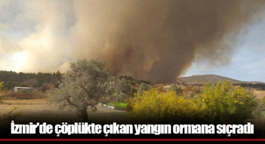 İzmir'de çöplükte çıkan yangın ormana sıçradı