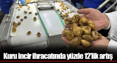 Kuru incir ihracatında yüzde 12’lik artış