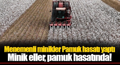 Menemenli minikler Pamuk hasatı yaptı