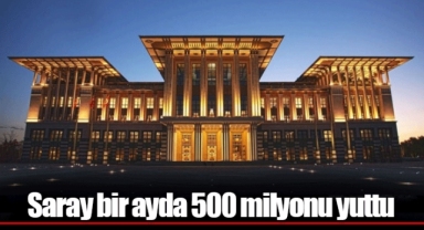 Saray bir ayda 500 milyonu yuttu
