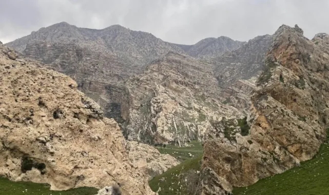 Şırnak'ta 7 bölge 15 gün süreyle “geçici özel güvenlik bölgesi” ilan edildi