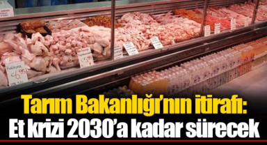 Tarım Bakanlığı’nın itirafı: Et krizi 2030’a kadar sürecek