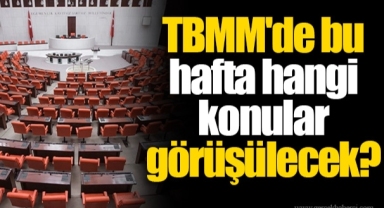 TBMM'de bu hafta hangi konular görüşülecek?
