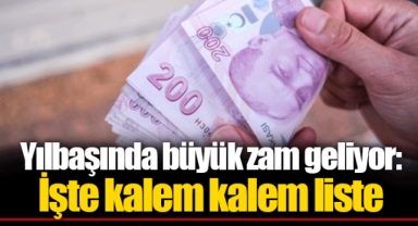 Yılbaşında büyük zam geliyor: İşte kalem kalem liste
