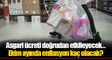 Asgari ücreti doğrudan etkileyecek... Ekim ayında enflasyon kaç olacak?