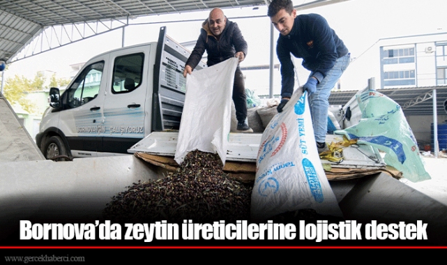 Bornova’da zeytin üreticilerine lojistik destek