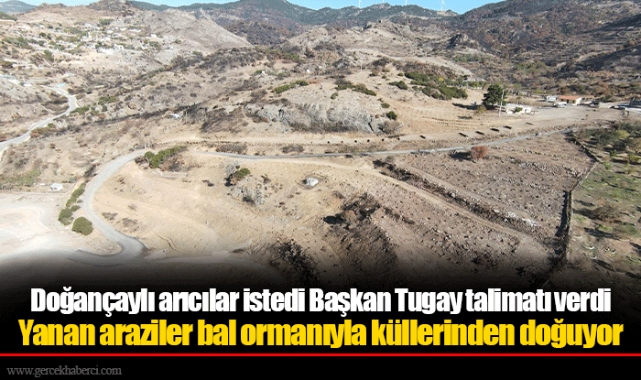 Doğançaylı arıcılar istedi Başkan Tugay talimatı verdi 