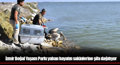 İzmir Doğal Yaşam Parkı yaban hayatın sakinlerine şifa dağıtıyor