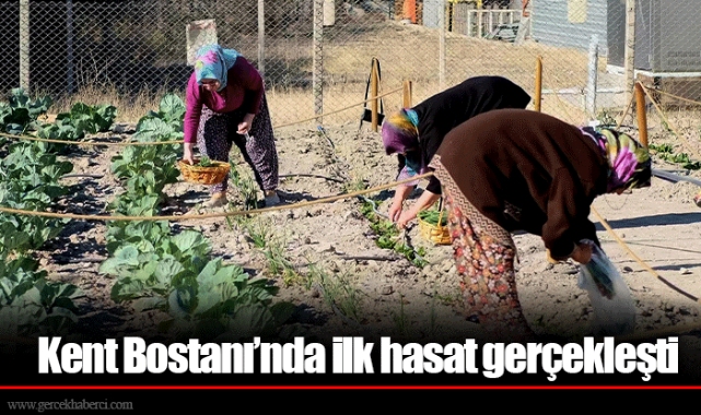 Kent Bostanı’nda ilk hasat gerçekleşti