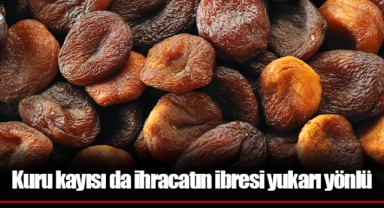 Kuru kayısı da ihracatın ibresi yukarı yönlü