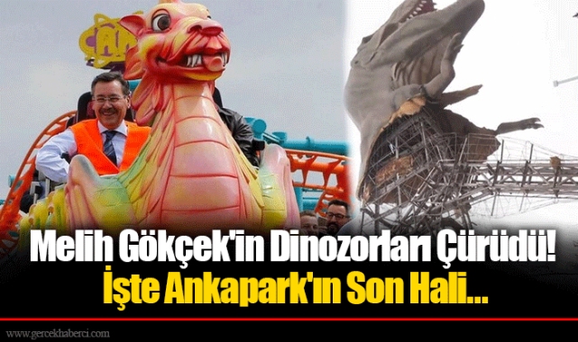 Melih Gökçek'in Dinozorları Çürüdü! İşte Ankapark'ın Son Hali...