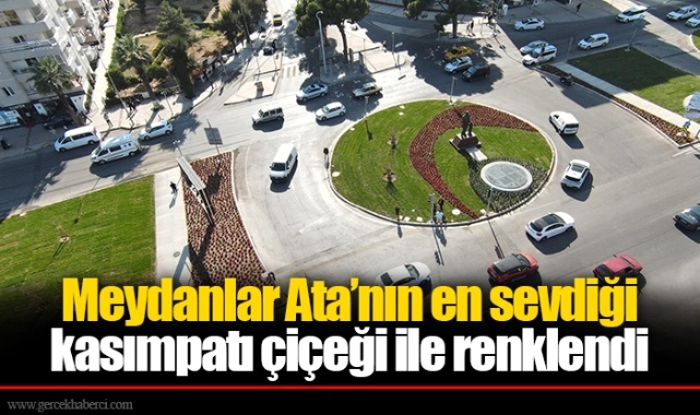 Meydanlar Ata’nın en sevdiği kasımpatı çiçeği ile renklendi