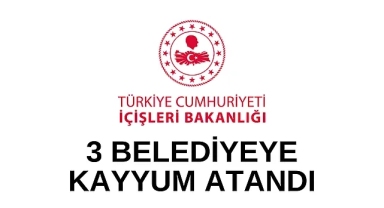 Son dakika haberi: Mardin, Batman ve Halfeti'ye kayyum atandı