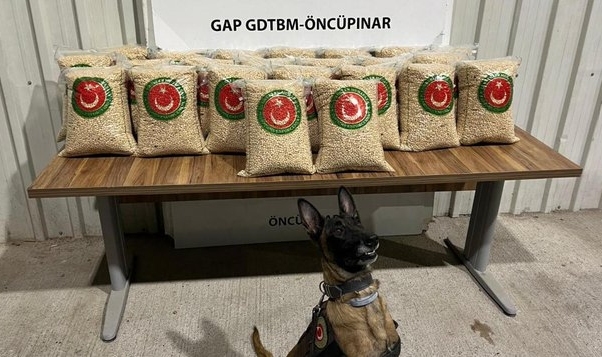 Ticaret Bakanlığı: Öncüpınar Gümrük Kapısı'ndaki operasyonlarda yaklaşık 276 milyon TL değerinde uyuşturucu ele geçirildi