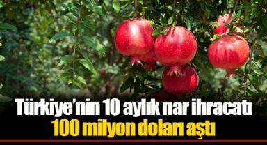 Türkiye’nin 10 aylık nar ihracatı 100 milyon doları aştı