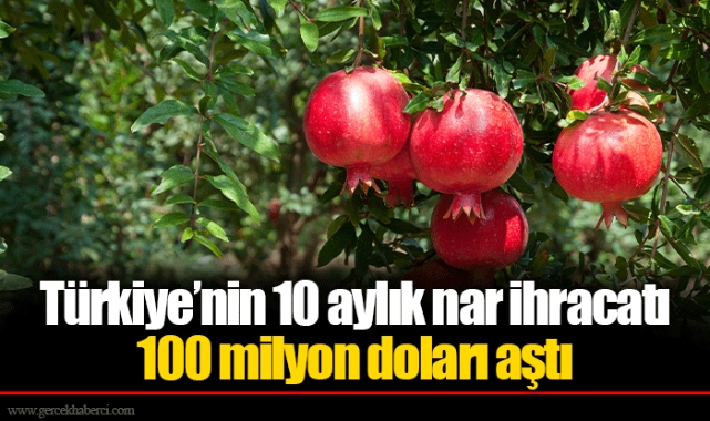 Türkiye’nin 10 aylık nar ihracatı 100 milyon doları aştı