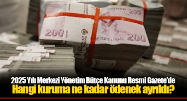 2025 Yılı Merkezi Yönetim Bütçe Kanunu Resmi Gazete'de Hangi kuruma ne kadar ödenek ayrıldı?