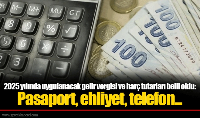 2025 yılında uygulanacak gelir vergisi ve harç tutarları belli oldu: Pasaport, ehliyet, telefon...