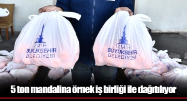 5 ton mandalina örnek iş birliği ile dağıtılıyor