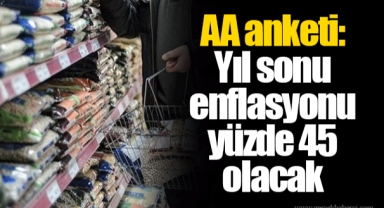 AA anketi: Yıl sonu enflasyonu yüzde 45 olacak