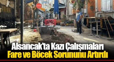 Alsancak'ta Kazı Çalışmaları Fare ve Böcek Sorununu Artırdı
