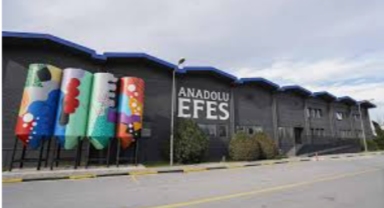 Anadolu Efes hisseleri niye düştü?