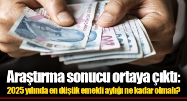 Araştırma sonucu ortaya çıktı:2025 yılında en düşük emekli aylığı ne kadar olmalı?