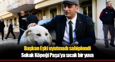 Başkan Eşki uyutmadı sahiplendi