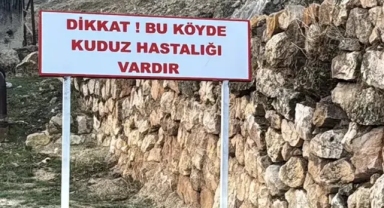 Bir köyde kuduz alarmı! Karantinaya alındı, 7 yaşındaki çocuk tedavi altında
