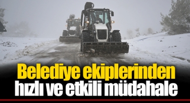Bornova'da mevsimin ilk karı