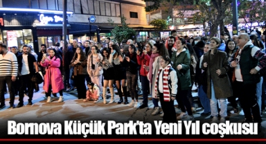 Bornova Küçük Park’ta Yeni Yıl coşkusu
