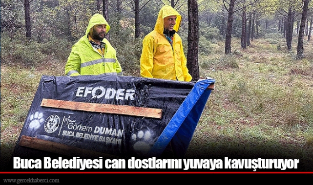 Buca Belediyesi can dostlarını yuvaya kavuşturuyor