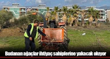 Budanan ağaçlar ihtiyaç sahiplerine yakacak oluyor
