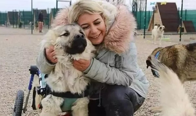 ‘Köpek Velisi’ 2 yılda 65 araç alıp satmış