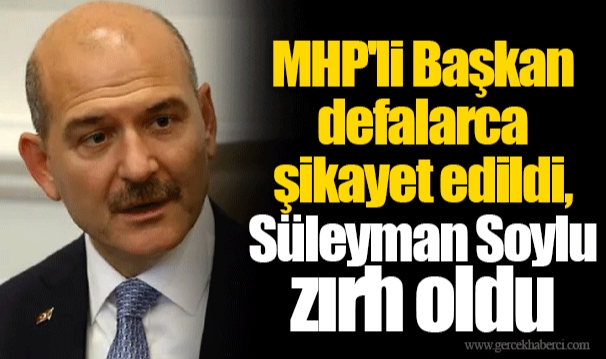 MHP'li Başkan defalarca şikayet edildi, Süleyman Soylu zırh oldu