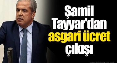 Şamil Tayyar'dan asgari ücret çıkışı