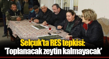 Selçuk'ta RES tepkisi: 'Toplanacak zeytin kalmayacak'