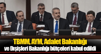 TBMM, AYM, Adalet Bakanlığı ve Dışişleri Bakanlığı bütçeleri kabul edildi