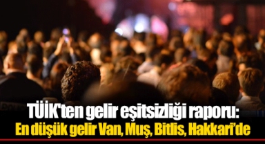 TÜİK'ten gelir eşitsizliği raporu: En düşük gelir Van, Muş, Bitlis, Hakkari’de