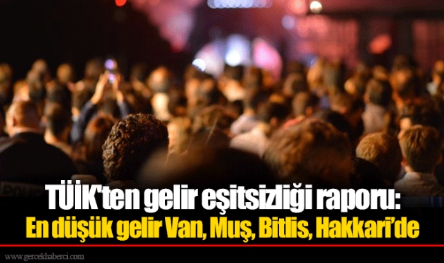 TÜİK'ten gelir eşitsizliği raporu: En düşük gelir Van, Muş, Bitlis, Hakkari’de
