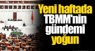 Yeni haftada TBMM'nin gündemi yoğun: Genel Kurul'da hangi konular görüşülecek