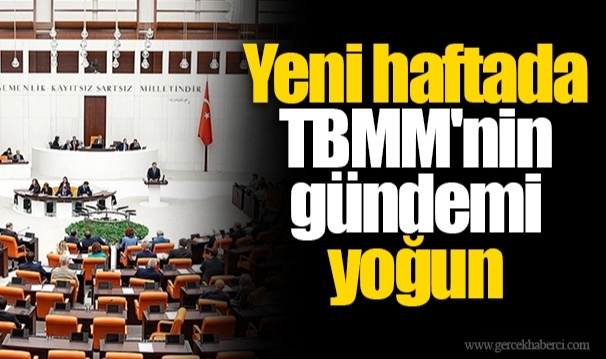 Yeni haftada TBMM'nin gündemi yoğun: Genel Kurul'da hangi konular görüşülecek